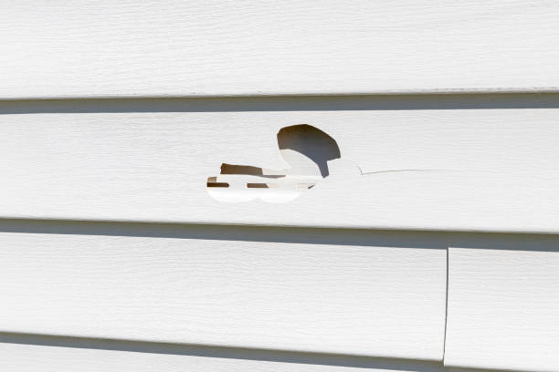 Reliable Sparta, WI Siding Services Solutions